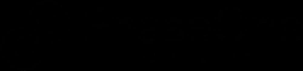 PhaseOne Logo